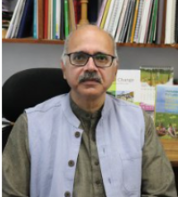 Prof. C. Shambu Prasad